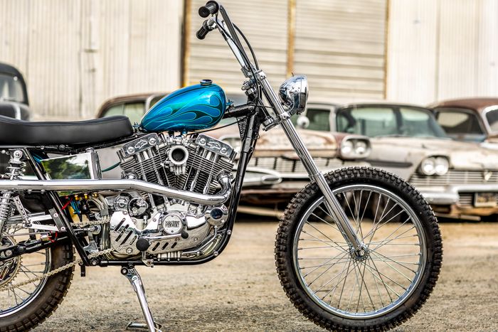 Wild Blue 1970 SPORTSTER